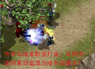 ����˽����ְҵ�����ο��ٻ��۲Ƹ���Ϊ������������