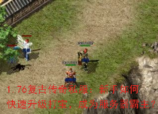 1.76���Ŵ���˽����������ο��������򱦣���Ϊ������������