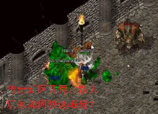 �����������ģ�ɢ�������ο�������