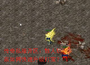 ����˽��������ɢ�������ο��������򱦣�