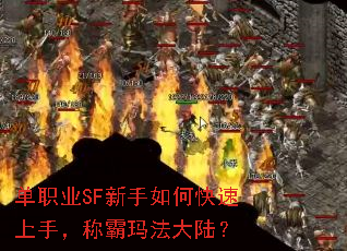 ��ְҵSF������ο������֣��ư��귨��½��