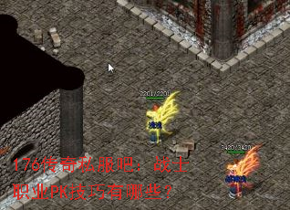 176����˽���ɣ�սʿְҵPK��������Щ��