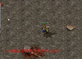 1.76��Ʒ�������ֿ�����ô�棿