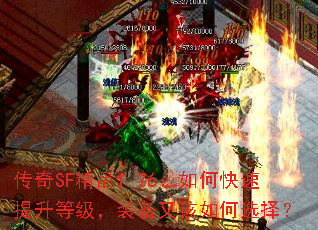 ����SF��Ʒ1.76����ο��������ȼ���װ���ָ����ѡ��