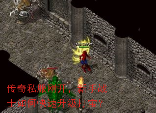 ����˽���տ�������սʿ��ο��������򱦣�