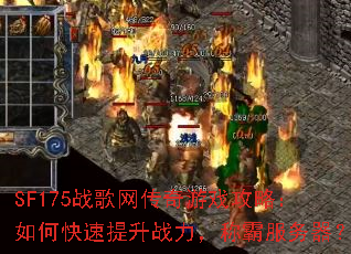 SF175ս����������Ϸ���ԣ���ο�������ս�����ưԷ�������