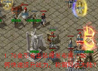 1.76��Һϻ�˽������������ο�������ս�����ư��귨��½��