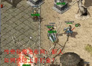 ����˽����������������ο������ִ��