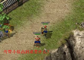 ����С��Ʒ������ʲô��