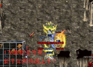 176��ְҵ���棺������ο������֣�