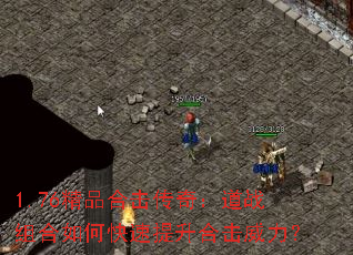 1.76��Ʒ�ϻ����棺��ս�����ο��������ϻ�������