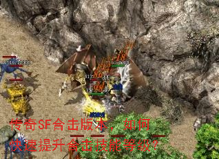 ����SF�ϻ��汾����ο��������ϻ����ܵȼ���