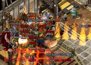 1.76��Ѫ���Ŵ��棺������ο��������򱦣�