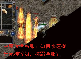 �б䴫��˽������ο�������Ԫ��ȼ����ư�ȫ����