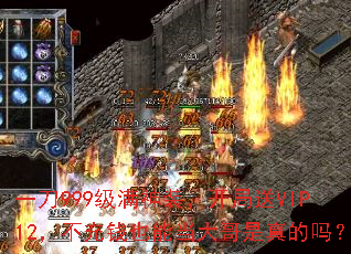 һ��999������װ��������VIP12������ǮҲ�ܵ�����������