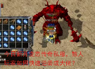 �����¿���̬����˽����ɢ�������ο�����Ϯ�ɴ��У�