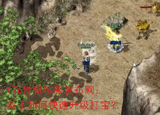 176����˽����������������ο��������򱦣�