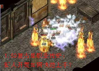 1.80���ŵ�ְҵ���棺���˿�����ο������֣�