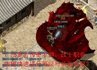 1.76���Ŵ������Σ�սʿְҵ��ο��������ȼ���װ����ȡ��