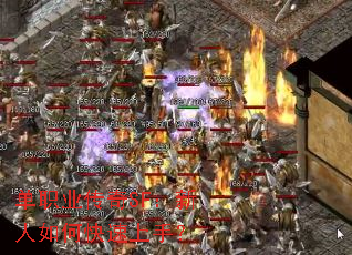 ��ְҵ����SF��������ο������֣�