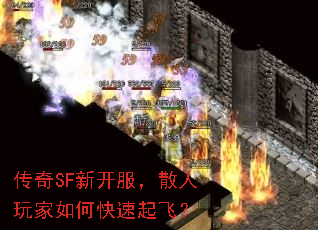 ����SF�¿�����ɢ�������ο�����ɣ�