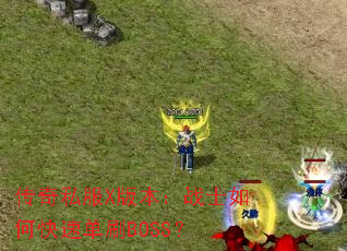 ����˽��X�汾��սʿ��ο��ٵ�ˢBOSS��