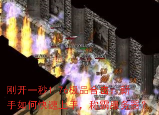 �տ�һ��1.76��Ʒ�ϻ���������ο������֣��ưԷ�������