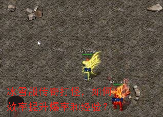 ��ѩ�������֣����Ч���������ʺ;��飿