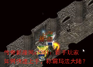 �����·���sf301�����������ο������֣��ư��귨��½��