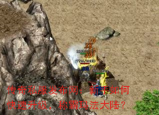 ����˽����������������ο����������ư��귨��½��