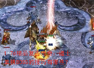 1.76��Ʒ���Ŵ��棺��ʿ����BOSS�ļ�������Щ��