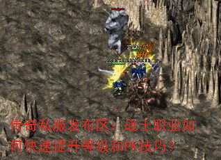 ����˽����������սʿְҵ��ο��������ȼ���PK���ɣ�