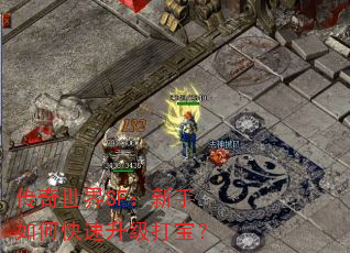 ��������SF��������ο��������򱦣�