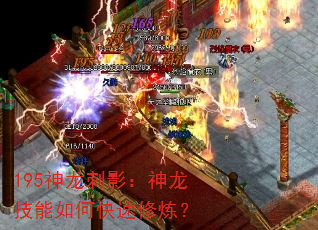 195������Ӱ������������ο���������