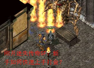 �տ���ʧ����SF��������ο������ִ��