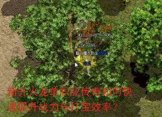 �¿�������ְҵ������ο�������ս�����Ч�ʣ�