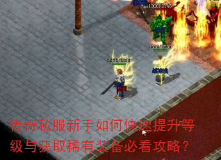 ����˽��������ο��������ȼ����ȡϡ��װ���ؿ����ԣ�