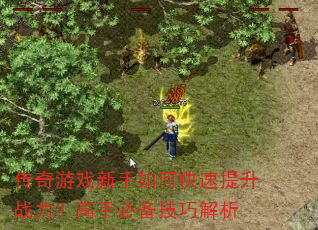 ������Ϸ������ο�������ս�������ֱر����ɽ���