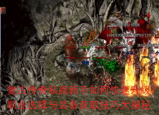 ���Ŵ���˽��������ο���������ְҵѡ����װ����ȡ���ɴ����