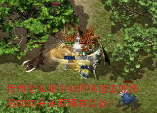 ������˽������ο��ٻ����ռ�BOSS����ȡϡ��װ����