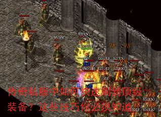 ����˽������ο���ˢ������װ������Щ���������֪��