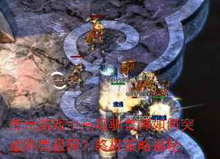 ������Ϸ�и߼�ѱ��ʦ���ͻ��ѱ�޼��ޣ��ռ����Խ���