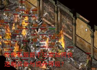 ����˽�����������ο���ˢװ���������ȼ���