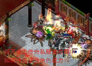 �¿��ϻ�����˽������������ο���������ɫս����