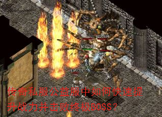 ����˽�����������ο�������ս���������ռ�BOSS��