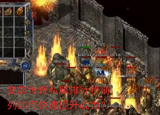 ��̬����˽�����а�ǰ����ο�������ս����