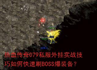 ��Ѫ����079˽�����ʵս������ο���ˢBOSS��װ����