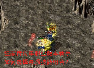 ���Ҵ��浥ְҵ�汾�������ѡ����ǿ������ϣ�