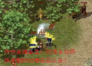 ����Ӣ�ۺϻ�1.80�汾��ο���ˢBOSS����Ʒװ����