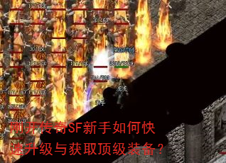 �տ�����SF������ο����������ȡ����װ����